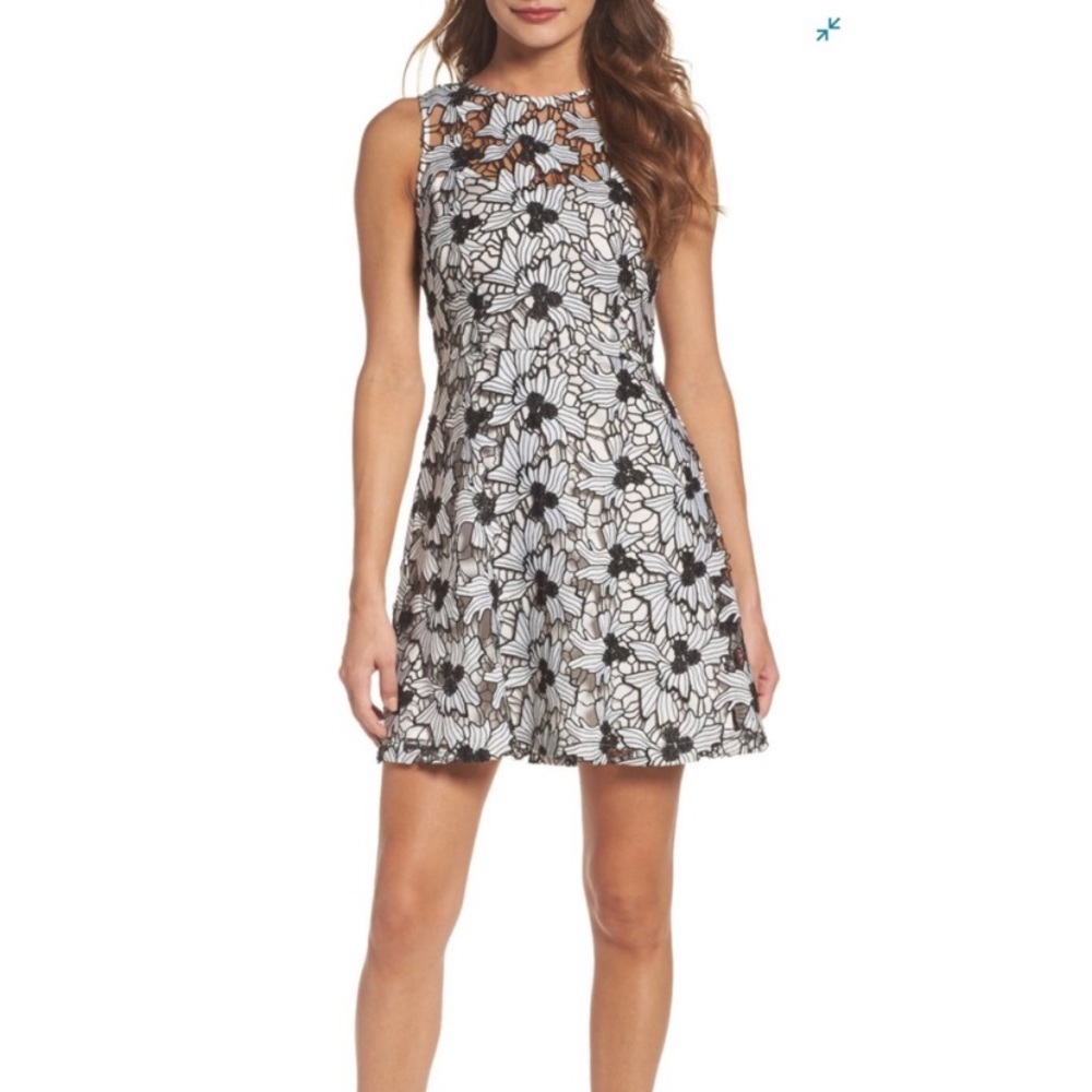 NWT BB Dakota Black & White Floral Lace Crochet Cocktail Dress
